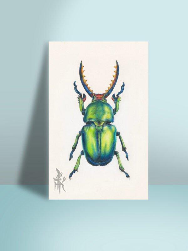 4x6-inch art print featuring an intricate design of multiple beetles combined into one, originally drawn with colored pencils.