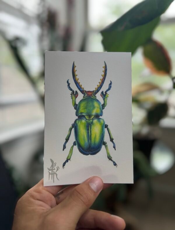4x6-inch art print featuring an intricate design of multiple beetles combined into one, originally drawn with colored pencils.