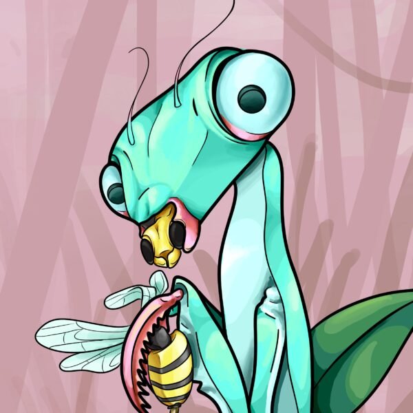 Meet the Mantis