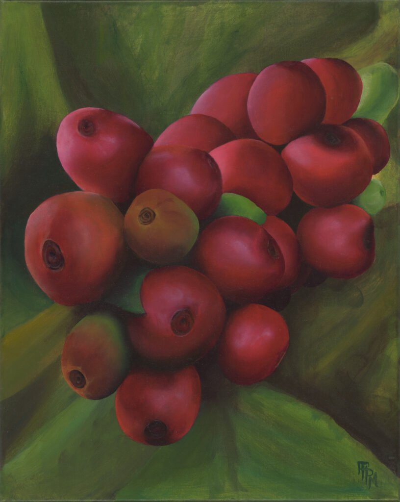 "Social Cherries" - Commissioned by Social Butterfly Coffee 2026