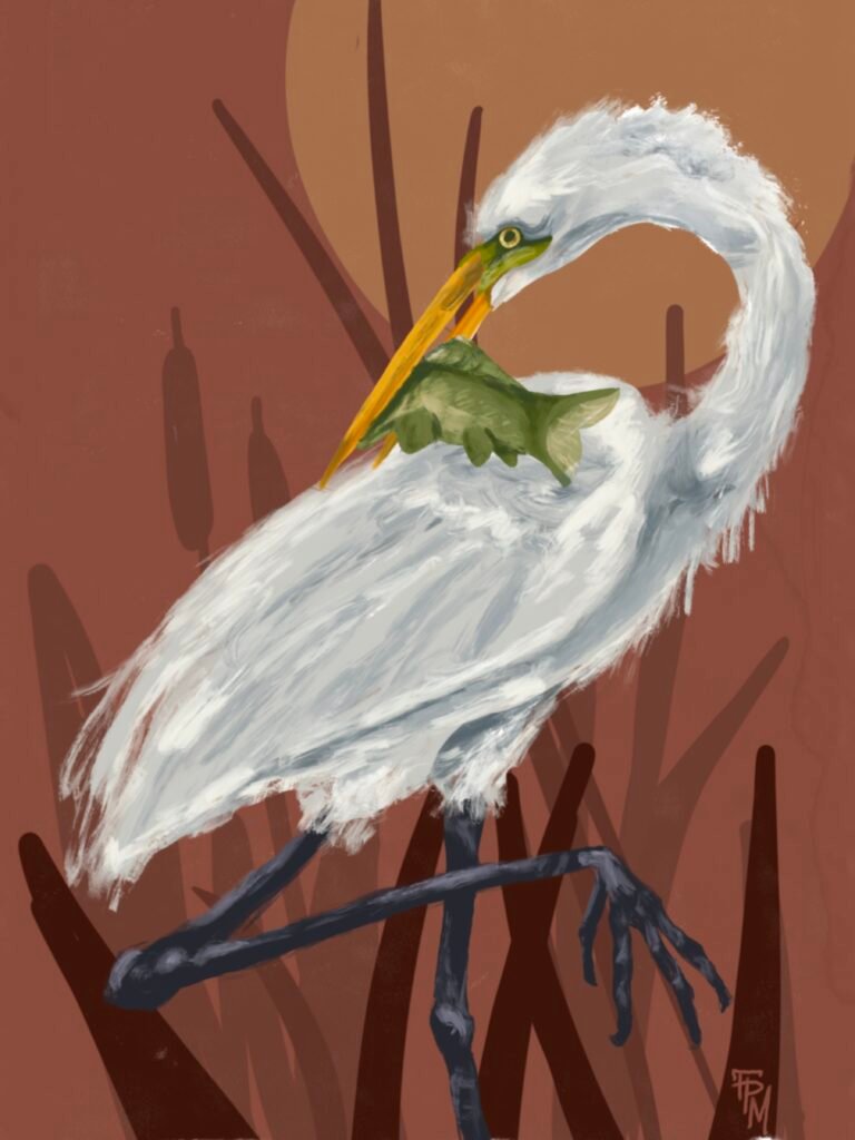 New Digital Illustration Available!